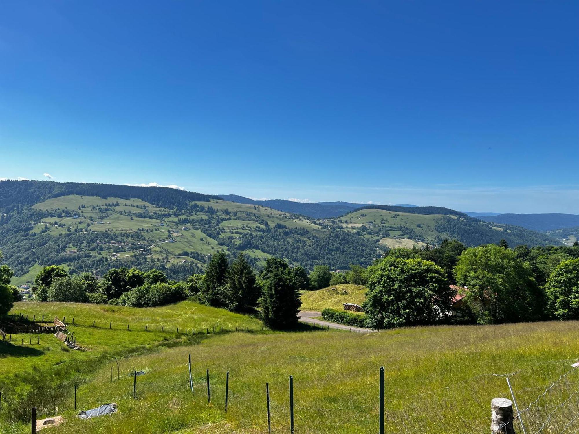 Le Petit Beillard Lejlighed Gérardmer Eksteriør billede